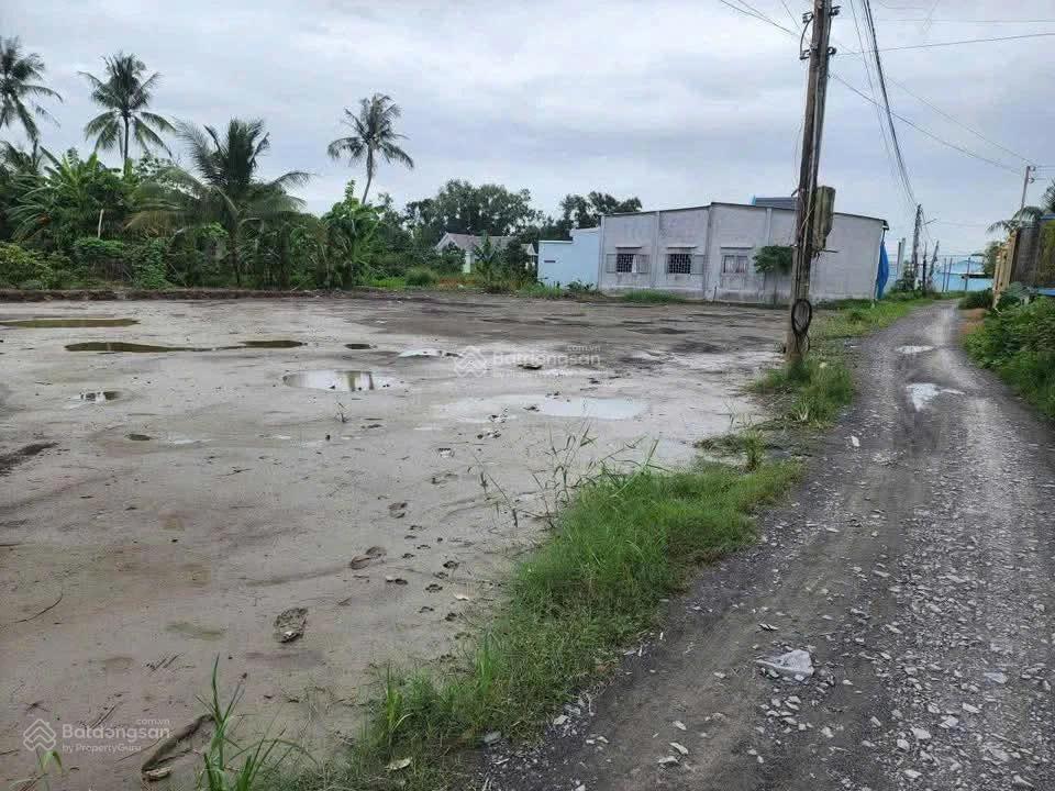 Bán 2000m2 đất lúa khu vực chuyển thổ, thích hợp phân lô