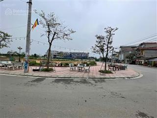 Nhà đẹp hiếm biệt thự sân vườn 732m  giá 44 tỷ sẵn ở luôn, dân cư đông đúc, ô tô tránh  đông anh