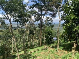 Bán 7800m² đất vườn view đẹp, sẵn cây ăn trái, sưa đỏ, chỉ 8km đến trung tâm tp bảo lộc