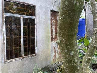 Bán đất đẹp tại đốc binh kiều, tháp mười, đồng tháp, 5,8 tỷ, 1654 m2