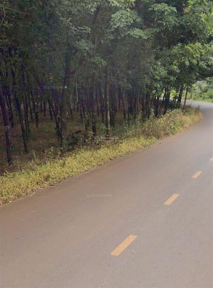 Cần bán 2ha đất đỏ bazan, mặt tiền đường tỉnh lộ đt 756, xã lộc quang, huyện lộc ninh, bình phước