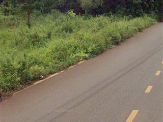 Bán đất và nhà mt dt 756, lộc quang, lộc ninh, bình phước.