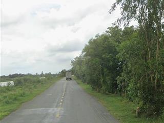 Bán gấp đất mt 9578m2 tại đt 819, xã tân lập, mộc hóa, long an