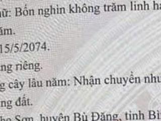 Bán đất tại đt 755b, thống nhất, bù đăng, bình phước, 3,3 tỷ, 4002 m2
