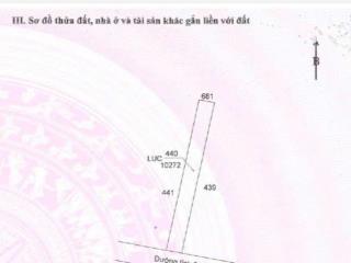 Bán đất dt 10272m2 tại đt 831, tuyên bình, vĩnh hưng, giá siêu hời 24,5 tỷ