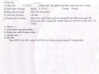 Bán đất tại đt 831, tuyên bình, vĩnh hưng, long an, 18 tỷ, 3118 m2