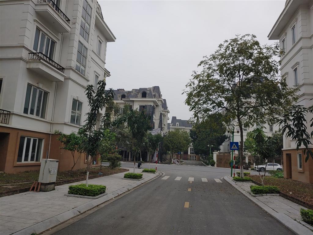 BÁN BIỆT THỰ NV11 HƯỚNG ĐN, MẶT ĐƯỜNG 24M KĐT LIDECO (0915458886)