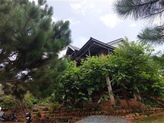 Sống giữa rừng thông và hoa anh đào căn nhà nghỉ dưỡng lý tưởng cách ngoại đà lạt 1628m2