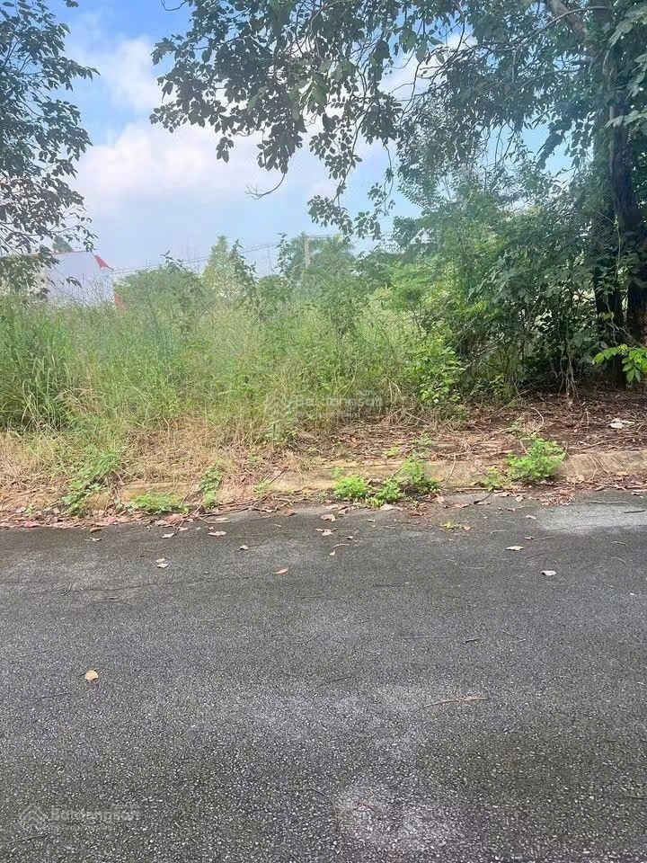 Chính chủ ký gửi lô đất mặt tiền đường nhựa cách ql13 chỉ 200m, dt 125m2 sang tên liền. full thổ cư