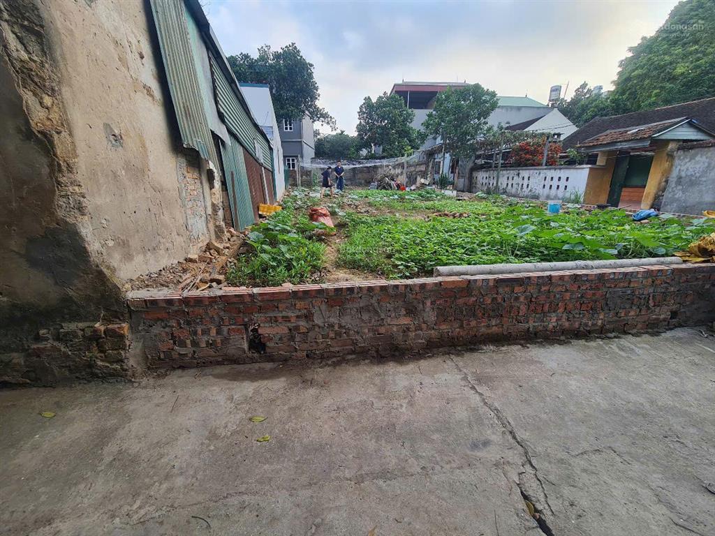 Bán gấp 250m2, mặt tiền 8m, gần vành đai 3, cơ hội x2 khi lên phường đông anh, cách bìa làng 100m