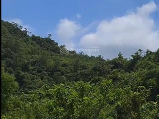 Bán đất tại quang thuận, bạch thông, bắc kạn, 29 tỷ, 300000 m2, giá cực chất uy tín