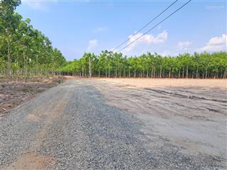 Bán đất thổ cư phường chơn thành giá chỉ 300triệu