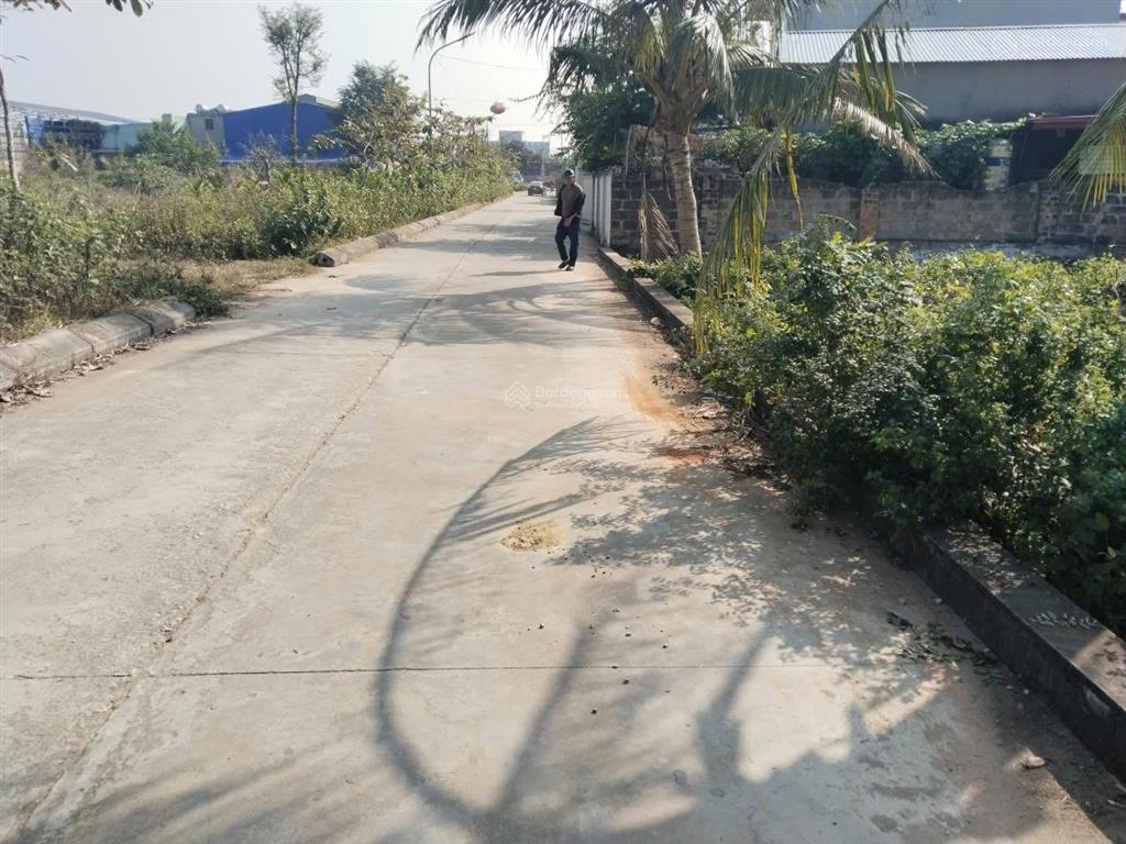 Bán đất 97m2, 1,7 tỷ tại xã tân dân, huyện an lão, hải phòng