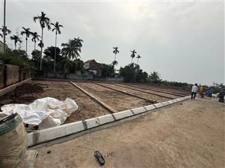 Bán đất 60m2 tại đường 301, xã bát trang, an lão, hải phòng, giá cực chất 600 triệu