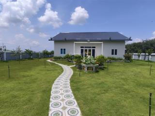 Bán gấp nhà vườn mới xây thổ 410m2 có sẵn nhà 200m2 khuôn viên trồng cây ăn trái và rau củ 958m2