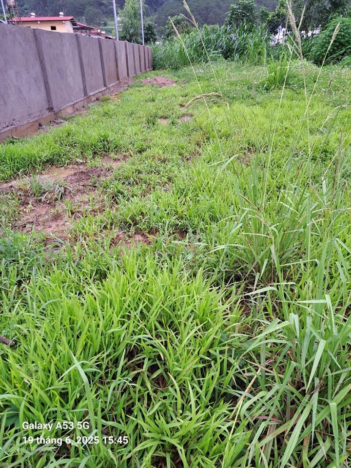 Cần bán gấp đất ngoại thành đà lạt, chỉ 2 tỷ 050 triệu