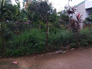 Cần bán đất trung tâm liên nghĩa, đức trọng, lâm đồng