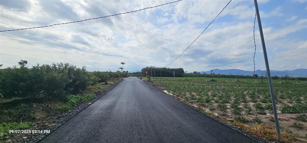 Bán 3ha(30.000m2) ngay 994 vào 50m mt nhựa bao quanh 250m mt 1,5tr/m2