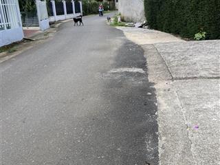 Bán đất mặt tiền chính chủ tại bảo lộc