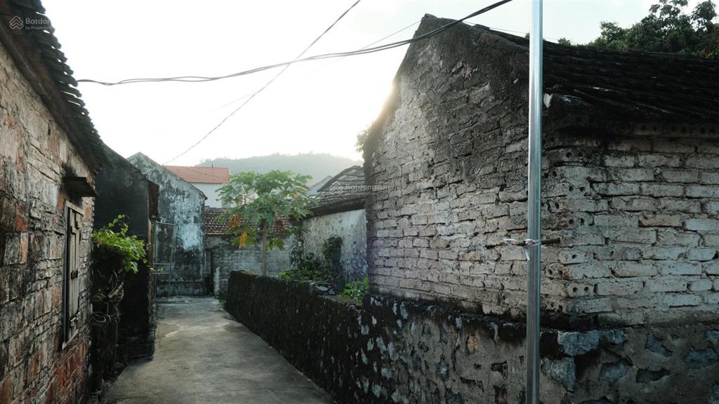 Đất khu du lịch tam cốc, đất vàng homestay, khách sạn, du lịch văn hoá, sổ đỏ full thổ cư 275m2