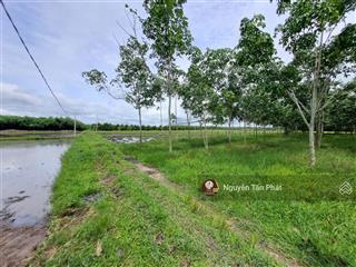 Hơn 6000m2 đất ngay khu dân cư, cách nhựa 70m. 1,8 tỷ