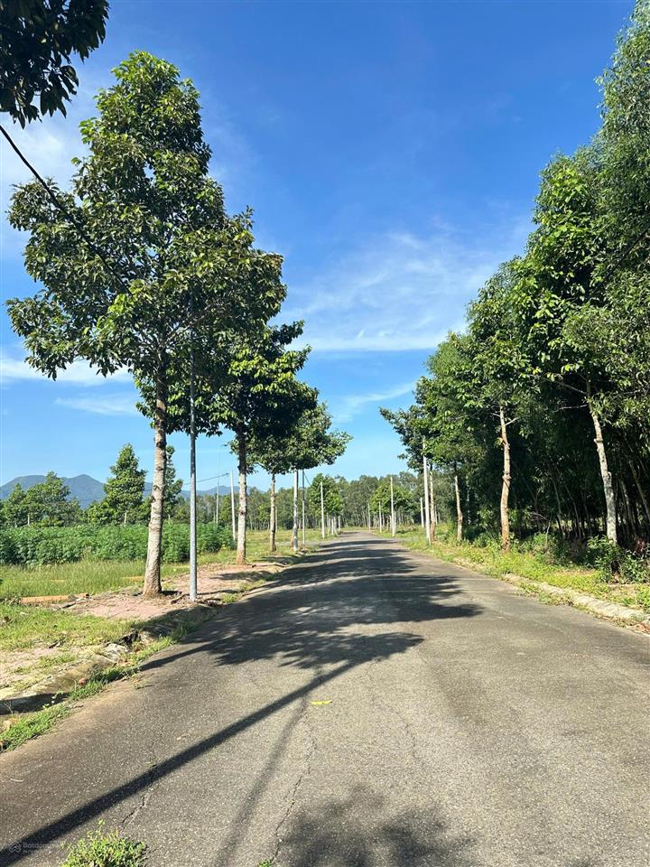 Chủ ngộp bán gấp lô đất phường tam long đường 25 khu dân cư lan anh 100m2/1ty180