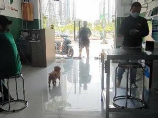 Bán nhà hot giảm giá mạnh nhà mặt tiền nguyễn hữu cảnh