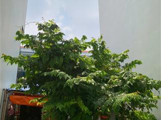 Bán đất trống cực hiếm hxh thành thái quận 10dt 4 x 17m2, giảm sốc từ 11.5 tỷ về 9.75 tỷ chốt ngay