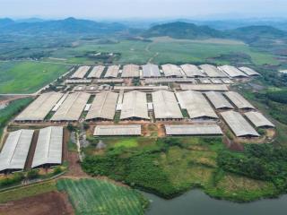 Bán đất nền nghỉ dưỡng đồng tâm, lạc thuỷ, mặt đường 10m, view hồ, sổ đỏ, dt 169m2, giá từ 5tr/1m2