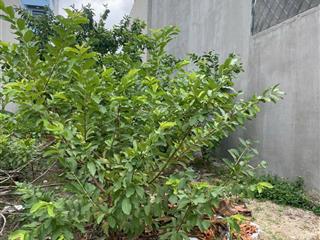 Bán đất gần vinhome nguyễn xiển, 80m2, 3,9 tỷ, ngang 5m, đường oto