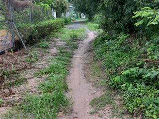 Chính chủ đứng bán mảnh đất vườn