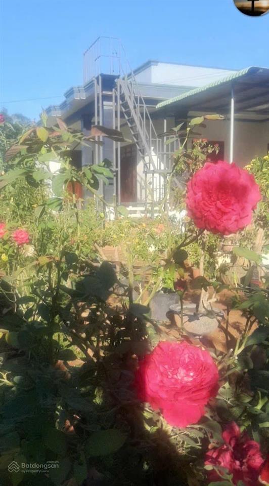 Cần ra miếng đất (1sào1) đá bạc bà rịa vũng tàu tp hcm