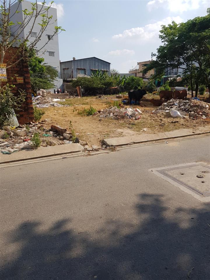 Hot hot lô đất đẹp ngay xã phạm văn hai, bình chánh giá chỉ 1,5 tỷ chủ ngộp bank 0707 797 ***