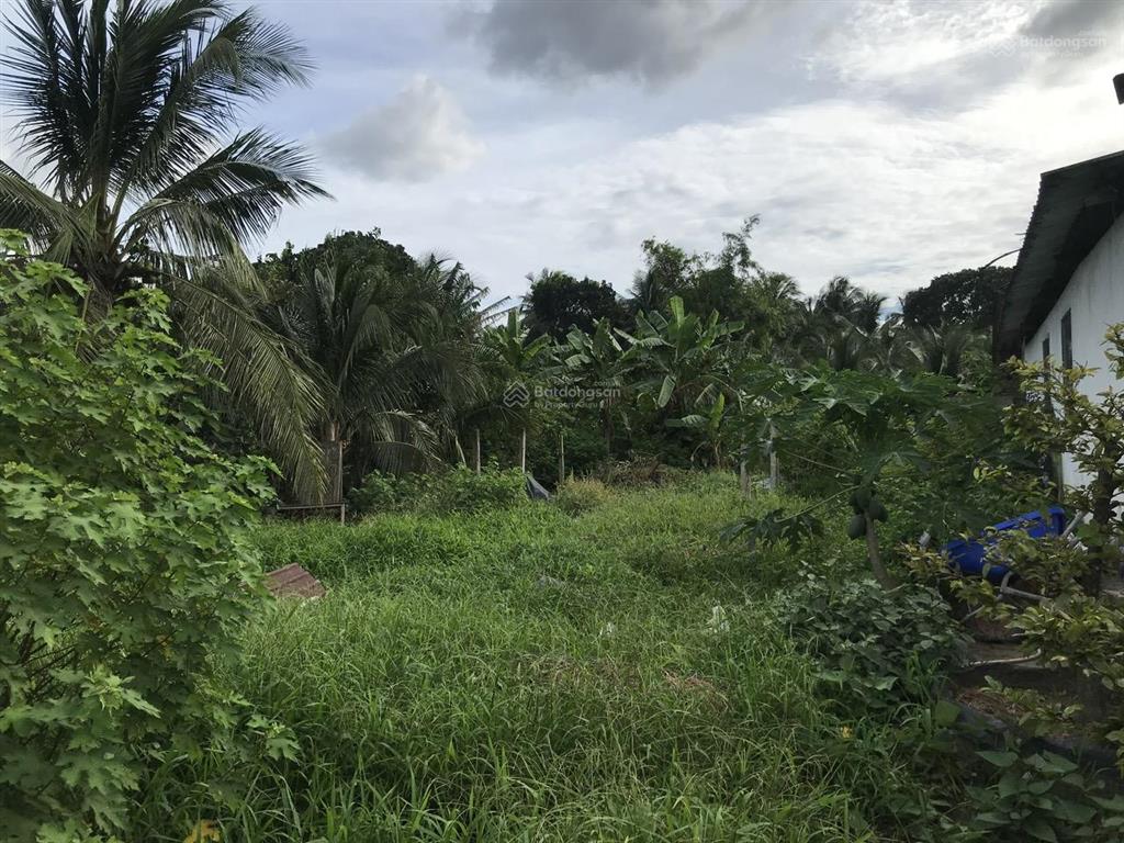 Tìm chủ mới cho mảnh đất vườn 910m2 ở trung hòa, chợ gạo, tiền giang với giá cực kỳ rẻ