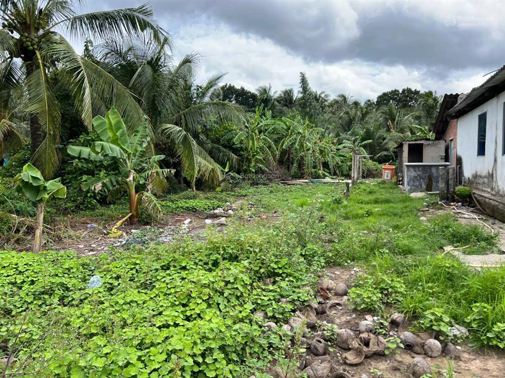 Tìm chủ mới cho mảnh đất vườn 910m2 ở trung hòa, chợ gạo, tiền giang với giá cực kỳ rẻ