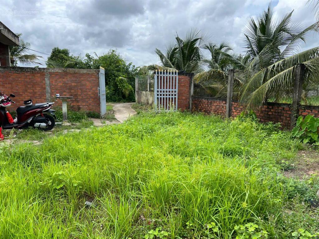 Tìm chủ mới cho mảnh đất vườn 910m2 ở trung hòa, chợ gạo, tiền giang với giá cực kỳ rẻ