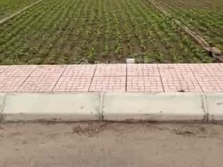 Đất gần quất lâm  nam định  gần kcn vsip  gần cao tốc nam định lạc quần  gần các tiện ích
