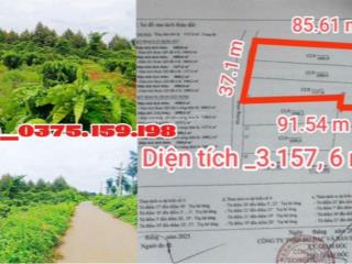 Mê mẩn vườn cafe &sầu riêng quá! 3157 m2 khu dân cư chỉ 4,5 tỷ gọi ngay kẻo không kịp.