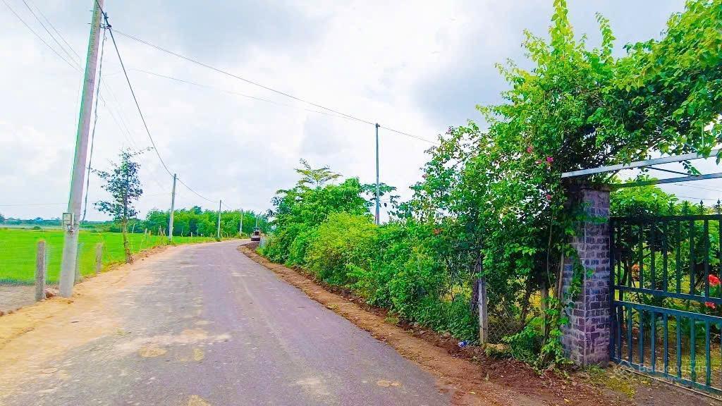 Chỉ 4,5 tỷ sở hữu 4.363m² đất vườn trái cây ngay trung tâm bình giả!