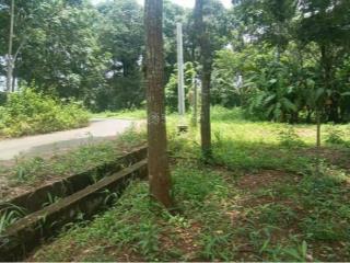 3,5 hecta (300m2 thổ cư) mặt tiền nhựa 220m, cạnh long tân, hoà long, long phước, tp. hồ chí minh