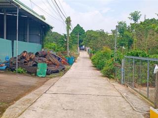 1 sẹc ql 56 mua vào 4,4 tỷ nay bán 2,9 tỷ cạnh ql56, cạnh trường học, ủy ban, trung tâm kim long