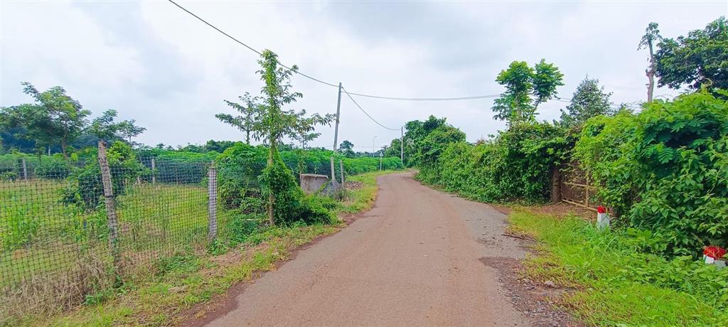 Gần 1,4 mẫu đất xã bình giã bà rịa vũng tàu thích hợp nhà vườn gần trung tâm vị trí đẹp tiềm năng