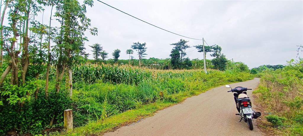 Gần 1,4 mẫu đất xã bình giã bà rịa vũng tàu thích hợp nhà vườn gần trung tâm vị trí đẹp tiềm năng