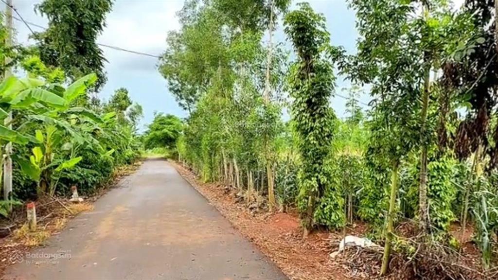 Bán nguyên lốc 22 nền gồm (5x50m/80m2 thổ cư, 20 nền & 2 nền 10x60m 80m2 thổ cư, tổng 1760m2 thổ cư