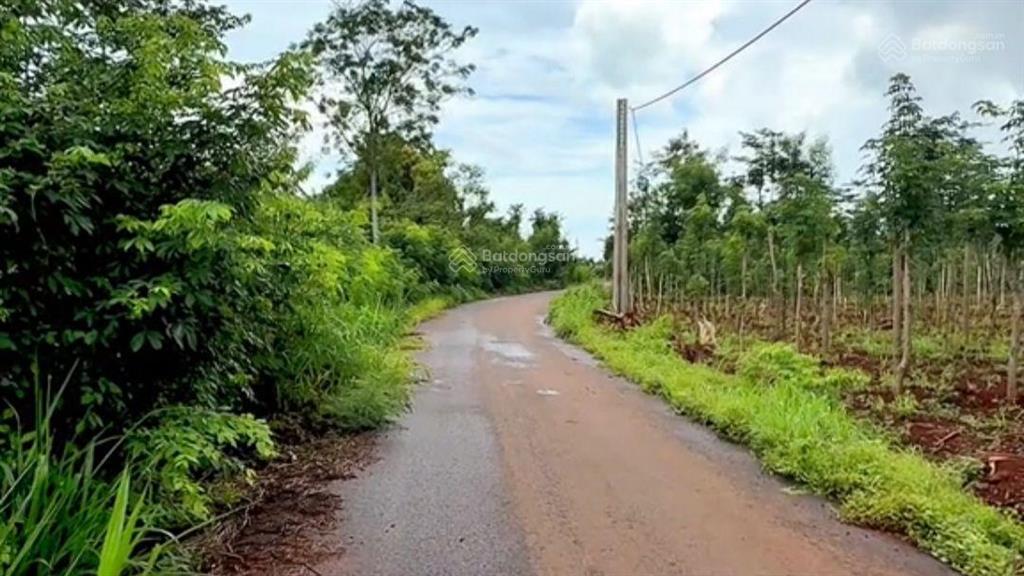 Bán nguyên lốc 22 nền gồm (5x50m/80m2 thổ cư, 20 nền & 2 nền 10x60m 80m2 thổ cư, tổng 1760m2 thổ cư