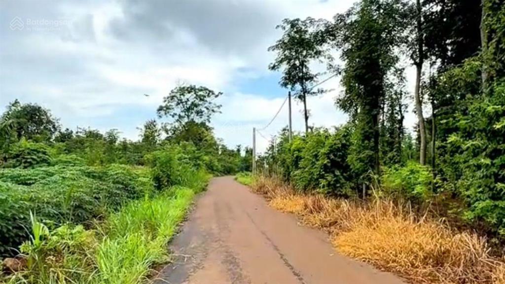 Bán nguyên lốc 22 nền gồm (5x50m/80m2 thổ cư, 20 nền & 2 nền 10x60m 80m2 thổ cư, tổng 1760m2 thổ cư