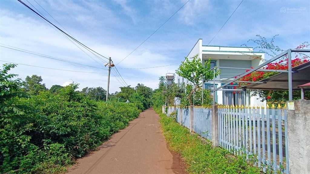 36000 m2(300m2tc)cách dự án 50 hecta kcn phước tân xã hồ tràm 1,5 km|giá 36tỷ làm kho bãi, đầu tư