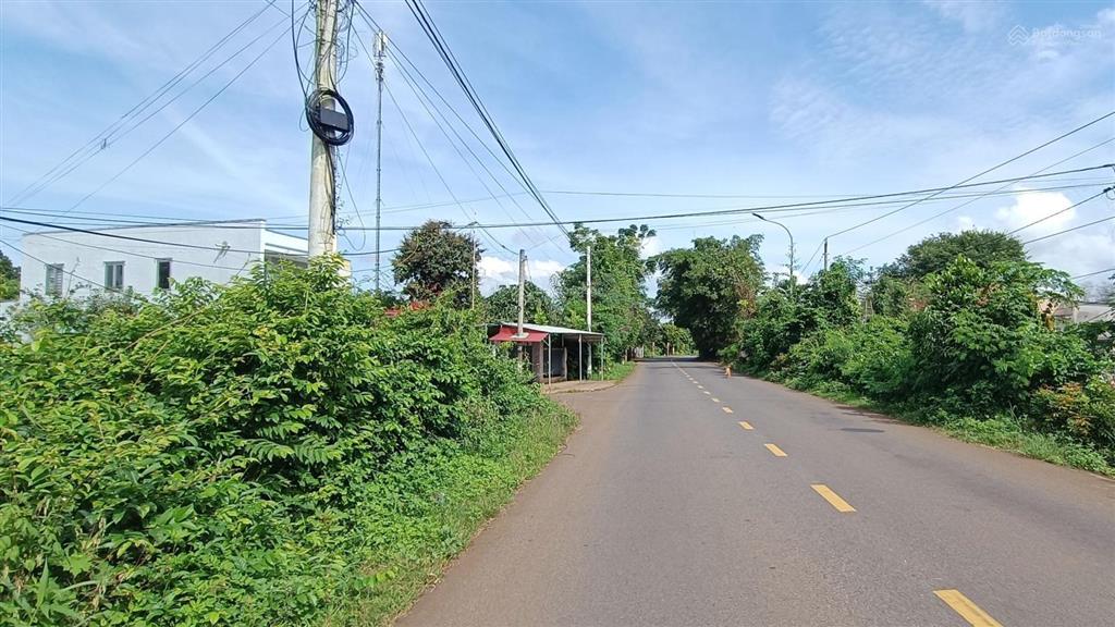 36000 m2(300m2tc)cách dự án 50 hecta kcn phước tân xã hồ tràm 1,5 km|giá 36tỷ làm kho bãi, đầu tư