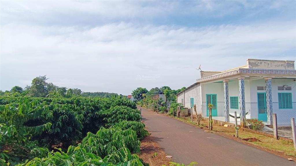 36000 m2(300m2tc)cách dự án 50 hecta kcn phước tân xã hồ tràm 1,5 km|giá 36tỷ làm kho bãi, đầu tư