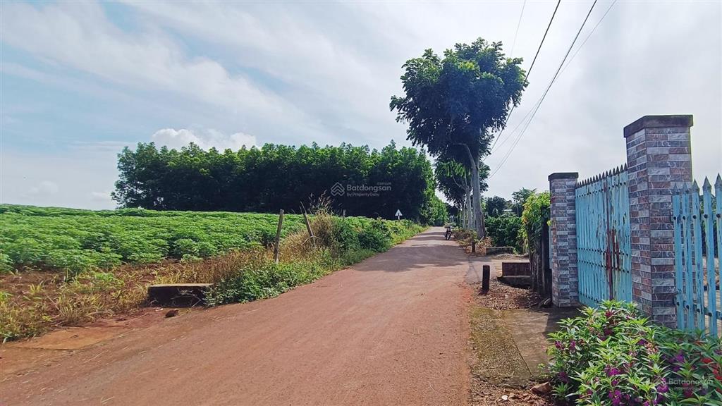 36000 m2(300m2tc)cách dự án 50 hecta kcn phước tân xã hồ tràm 1,5 km|giá 36tỷ làm kho bãi, đầu tư